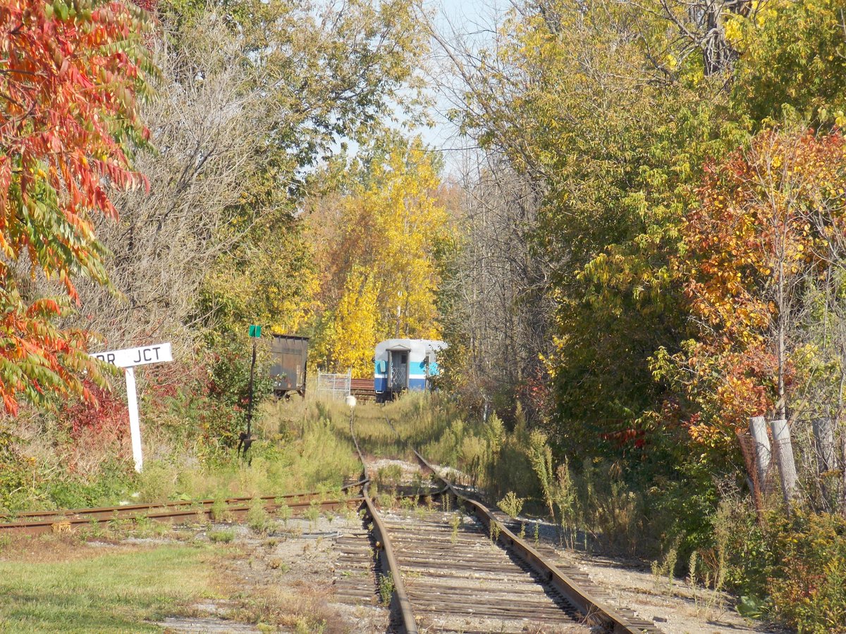 Disappearing through the autumn colours.