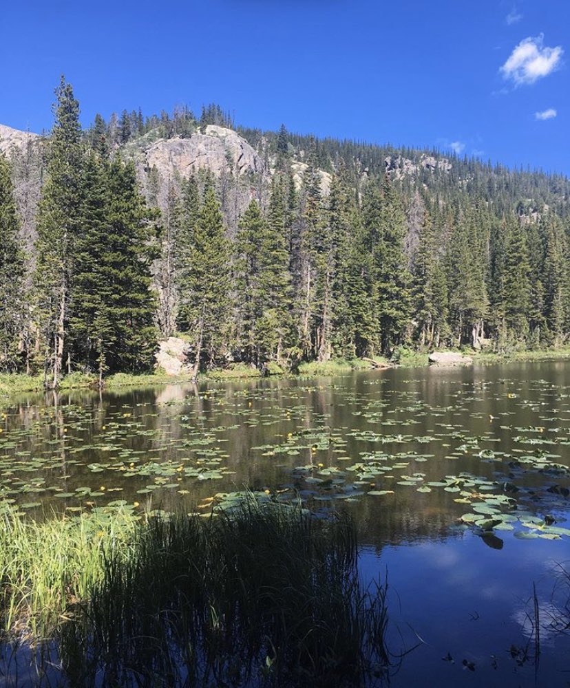AlexiThorpe's tweet photo. One of my favorite things to do over the summer is go hiking with some friends. The views are amazing and it makes us appreciate the earth. Happy Earth day :) #GainFHSAPES https://t.co/sVluJAyZuc