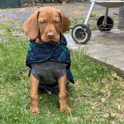 SydLana's tweet photo. #NewProfilePic https://t.co/PnxTkQpmd7