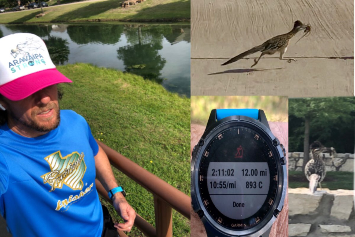 johnnyb4812's tweet photo. @AravaipaRunning @rundemtrails @lindabear78 #AravaipaStrong #100milesin8days 
Day 6 - Treadmill &amp; Creek run
Roadrunner won hands down! 🤪 https://t.co/7EoIKtKU5f