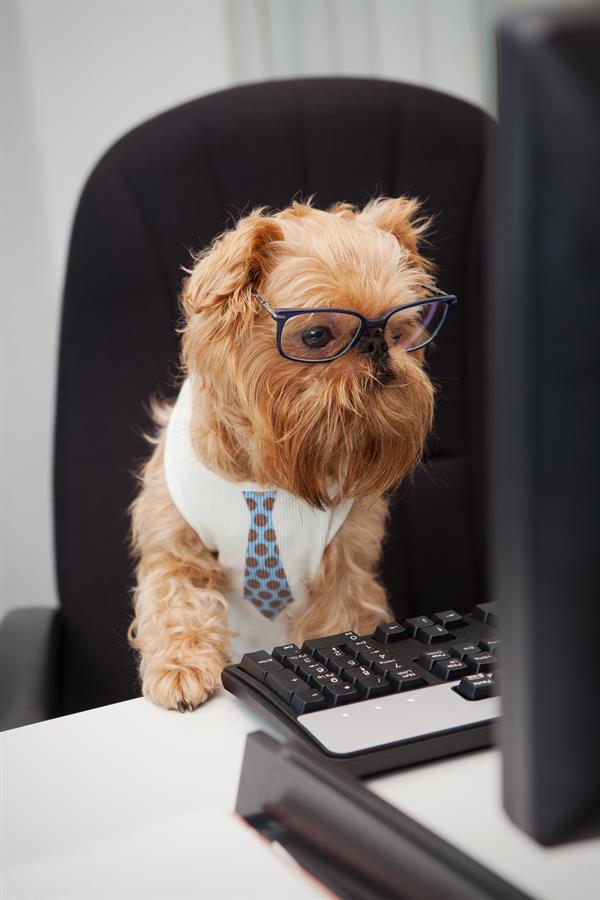 Are you working from home? Well we want to see your furry friends. 

Use [#ENTERHASHTAG] to enter our cutest coworker contest! We'll select one entry at random by 5 p.m. on Friday to win a $25 gift card to use at our store when we reopen!