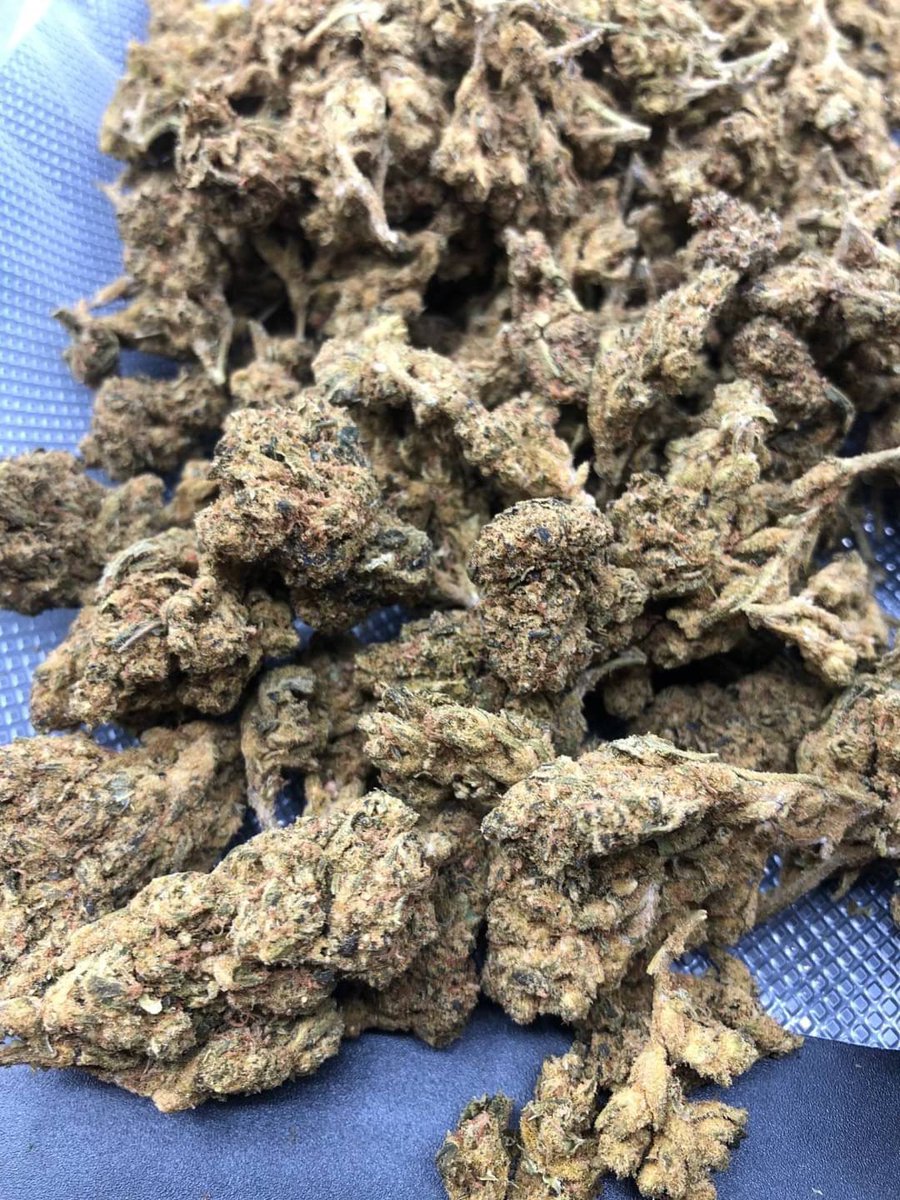 420mafia4's tweet photo. Godfather OG 750.-/G
 (import)/sativa ตัวนี้ดูดแข็งขนาดไหนสองทีมีเหวอคับ 
 **ค่าส่ง50** https://t.co/C9RCxiOGF0