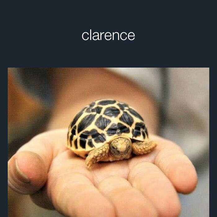 LadLemon's tweet photo. first post so I decided to post a meme. smart :) #meme #QuarantineLife https://t.co/clllxFnFWM