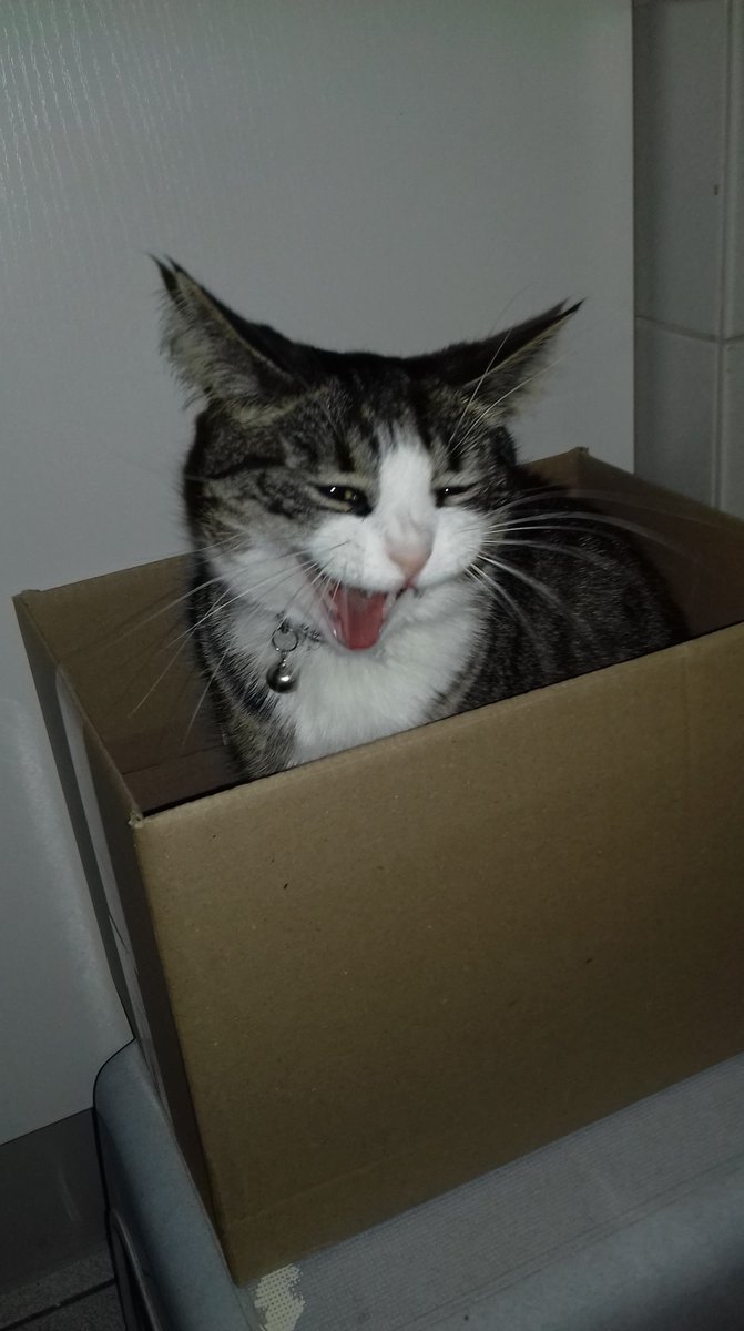 FatBastardSound tweet media