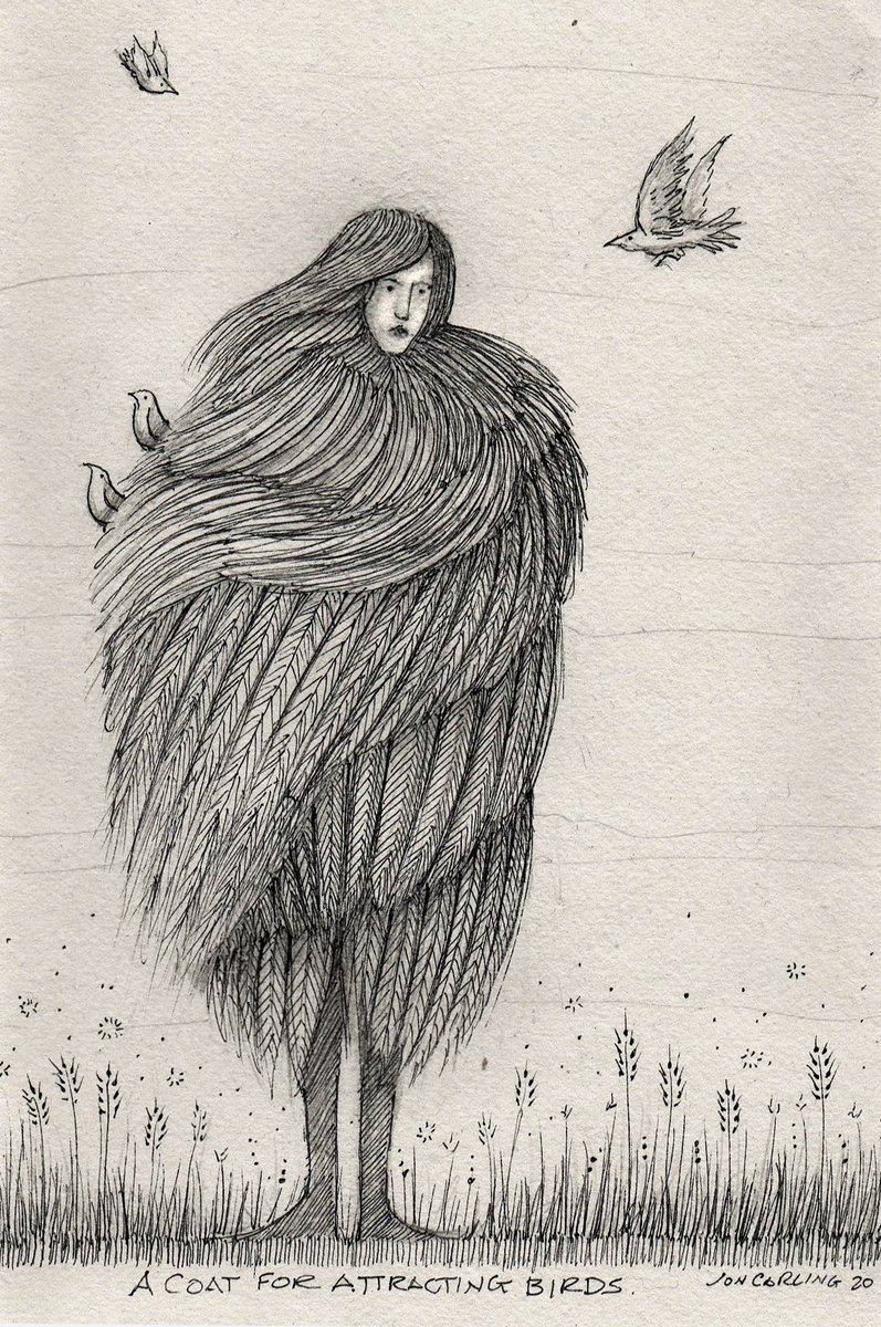 JonCarling's tweet photo. A coat for attracting birds https://t.co/QPe4ErX6An