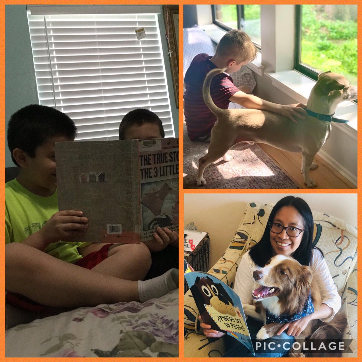 glpzsmith's tweet photo. Celebrating National Library Week: Day 3
Celebrando la semana nacional de las bibliotecas: Día 3                     @farinefalcons @FarineLibrary #NationalLibraryWeek 
#secondgraderocks #BibliotecasTransforman #ReadinSpanish #DualLanguage https://t.co/8OHrH27NvV