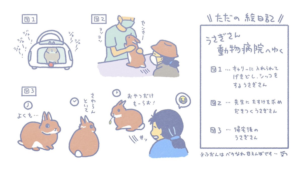 うちのうさぎさんの昨日のようすです(※もう仲直りしました) 