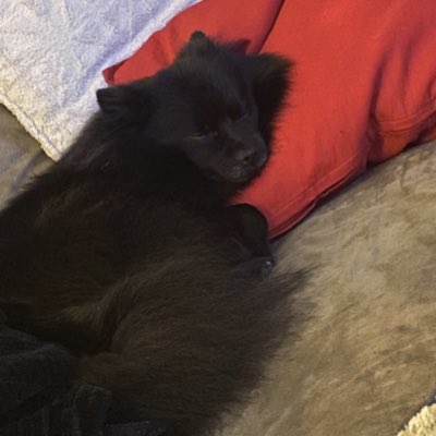 TitoPom's tweet photo. #NewProfilePic https://t.co/jrZFmoRfAu