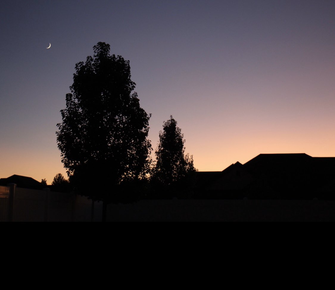 ash_bash66's tweet photo. “The earth has music for those who listen” - Shakespeare 🌱🌙🌸🙏🏼 
#EarthDay  #Nature #FavHoliday #AmateurPhotographer https://t.co/QPp5D8Yus3
