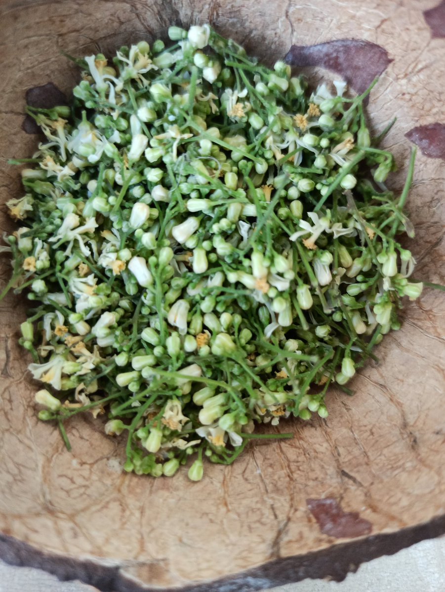 If you have the patience to source it, currently in season, nothing like it! Fresh Neem flowers! Vepampoo... absolutely brilliant! For a number of ailments! Excellent immunity booster! Yes, it is bitter! And you can make many things out of it! From chutney to Rasam!
