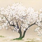 main image of this resource