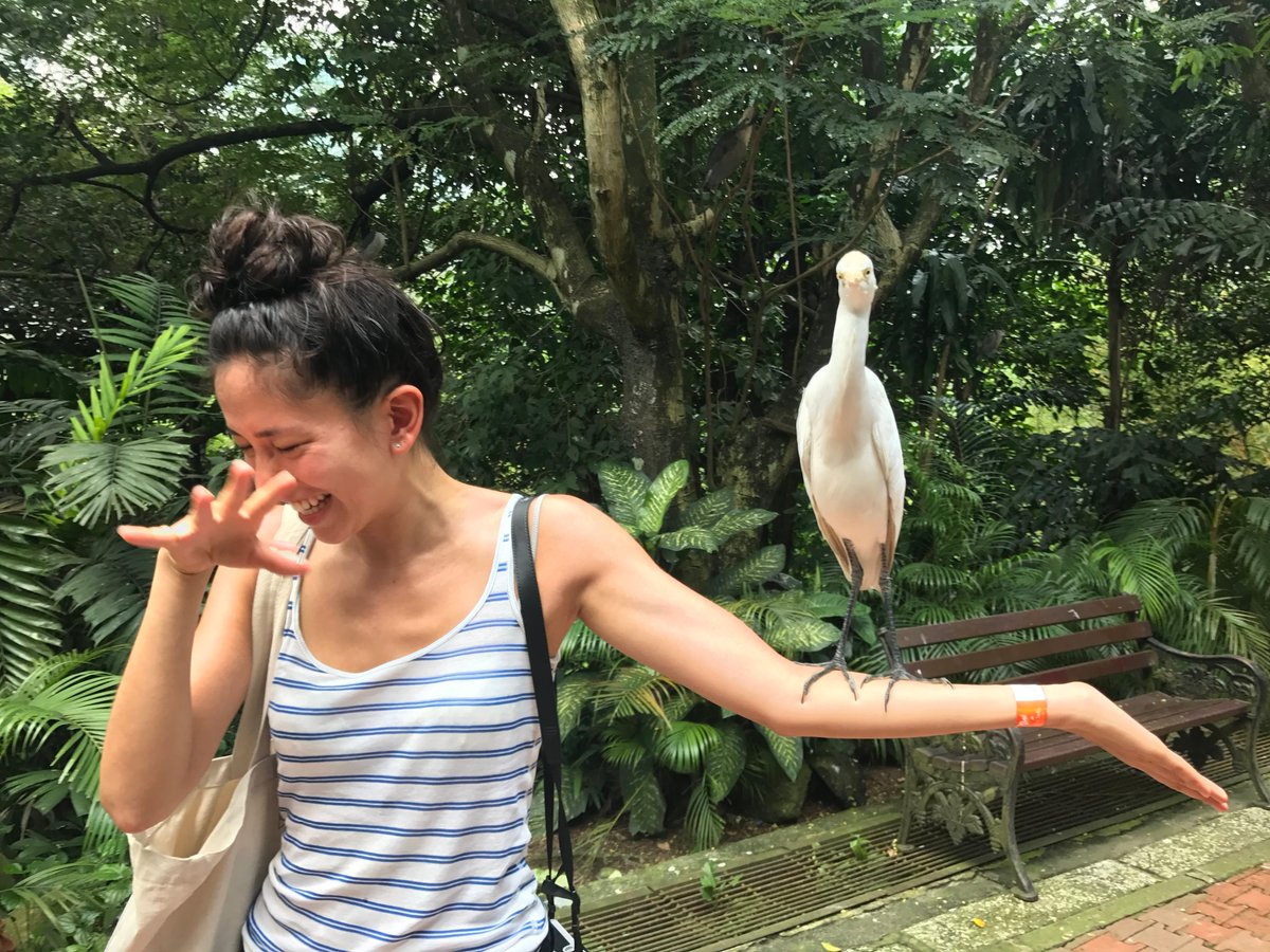 During our day off Sonoya,  @awkwafina and I went to the Kuala Lumpur Bird Park   #CrazyRichAsiansParty