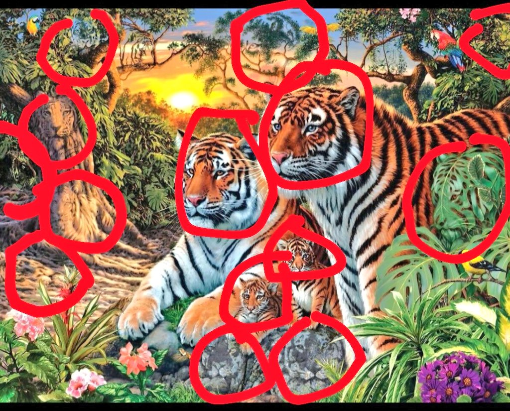 iamPradip1's tweet photo. @SrBachchan AmitabhJi ... there are total 14 tigers..plz have a look @SrBachchan https://t.co/68Qvs0GIL4