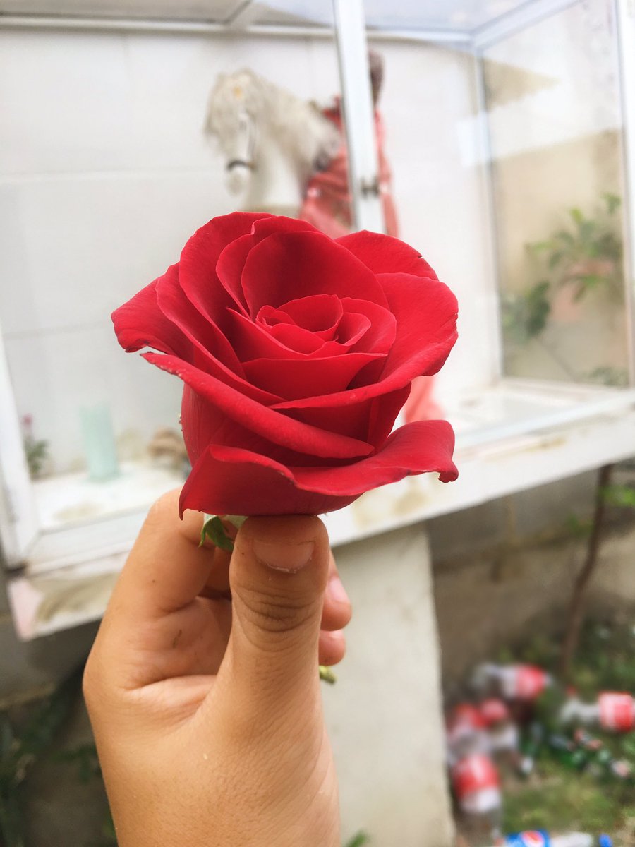 jaqueguimaraesb's tweet photo. Quando me faltou força, você lutou por mim..
Quando eu quis desistir, você continuou por mim..
Quando chorei, me segurou em seus braços e amparou minhas lágrimas 📿❤️🕊 
PATACORI MEU OGUM! 🙏🏾 obg por me escolher !

#SalveJorge #salveogum https://t.co/lycvw69Q9A