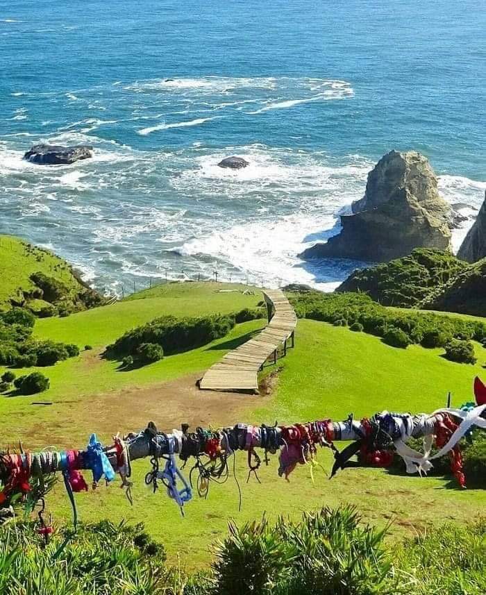 TurismoEnChile's tweet photo. 🍃 Para cuando todo termine, aventurate a descubrir CHILE. Encontrarás paisajes que van desde el desierto más árido del mundo, hasta los sorprendentes glaciares de la Antártica y Patagonia. 🍃

Hoy #QuedateEnCasa 
#TurismoEnChile 🇨🇱 https://t.co/WUmnJuwbho