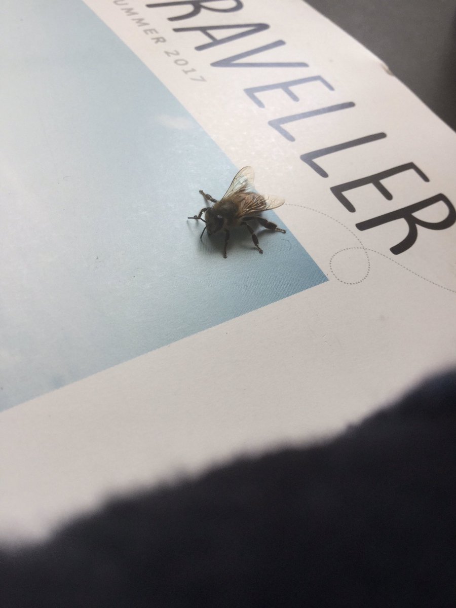 cdnursebaker's tweet photo. Quarantine art! The hands are studies done as schoolwork and the third pic is the beginnings of a sci-fi storyboard (also for school). The last pic is a nice light effect I noticed on my glass of water and the first pic is a bee that I photographed earlier today!
#createtogether https://t.co/UQVJA3oGyN