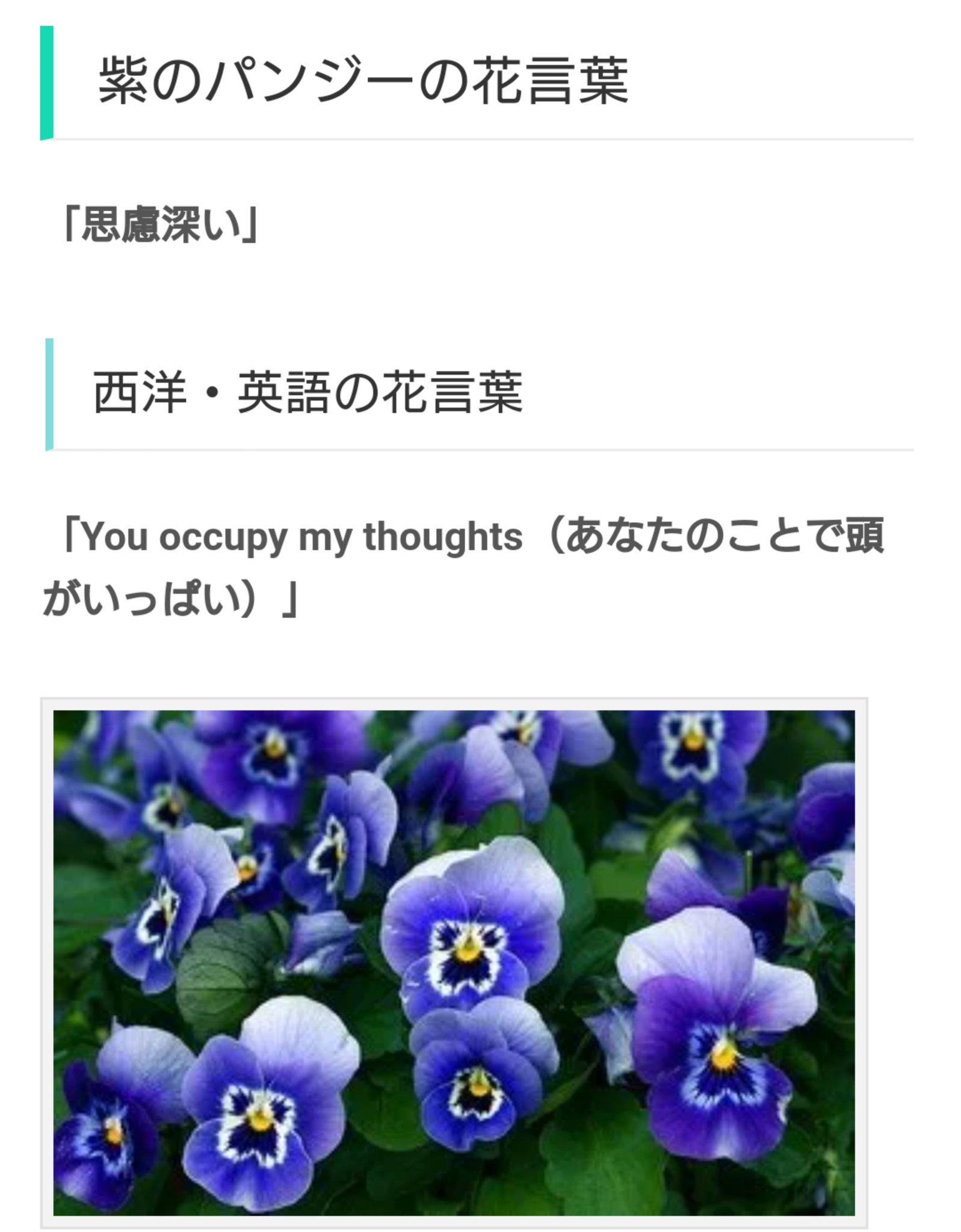 河野シオン 7周年イラストで ぼのが身につけている紫色のパンジーの花言葉を調べたところ ニヤついてしまったので共有しておきます T Co Lmrlrjogsk Twitter