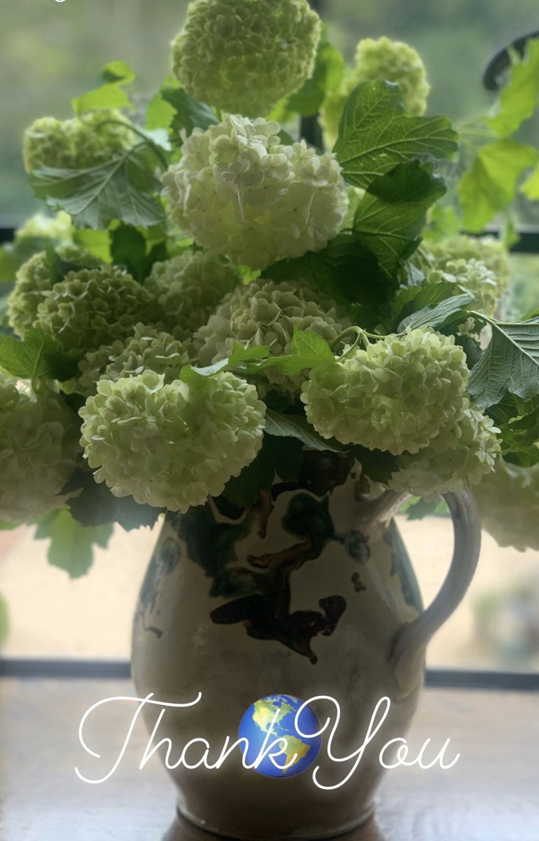 BoxwoodVine's tweet photo. #EarthDay https://t.co/6Ij1spggQh