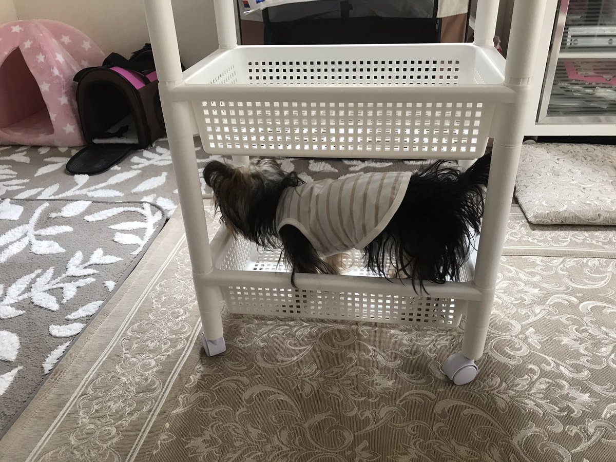 テーブルワゴン テーブルワゴン