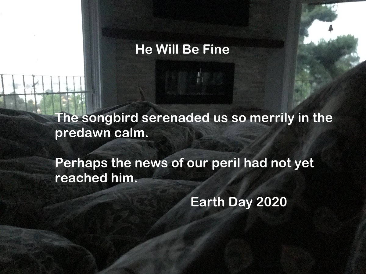 Daniel Roddick tweet media