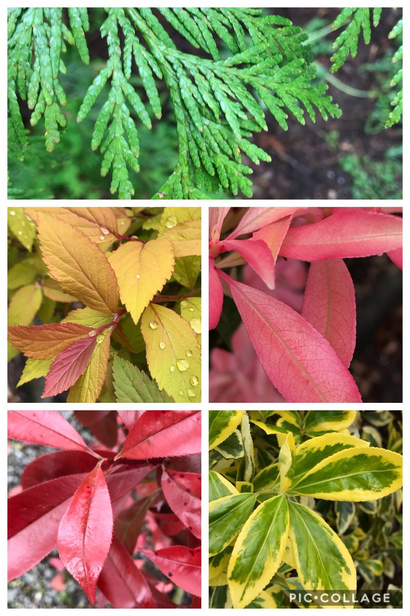 Vicky Ma tweet media