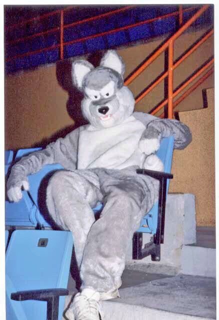 1984 bought “Other Suns” furry based RPG1986 auditioned for college mascot1989 started drawing myself as a bunnyAug 4, 1990 animator told me about “Rowrbrazzle” - date joined fandomOct 1990 first furry partyJan 1991 first furry conventionDec 1994 built first fursuit  https://twitter.com/demetriustrader/status/1252969208427638785