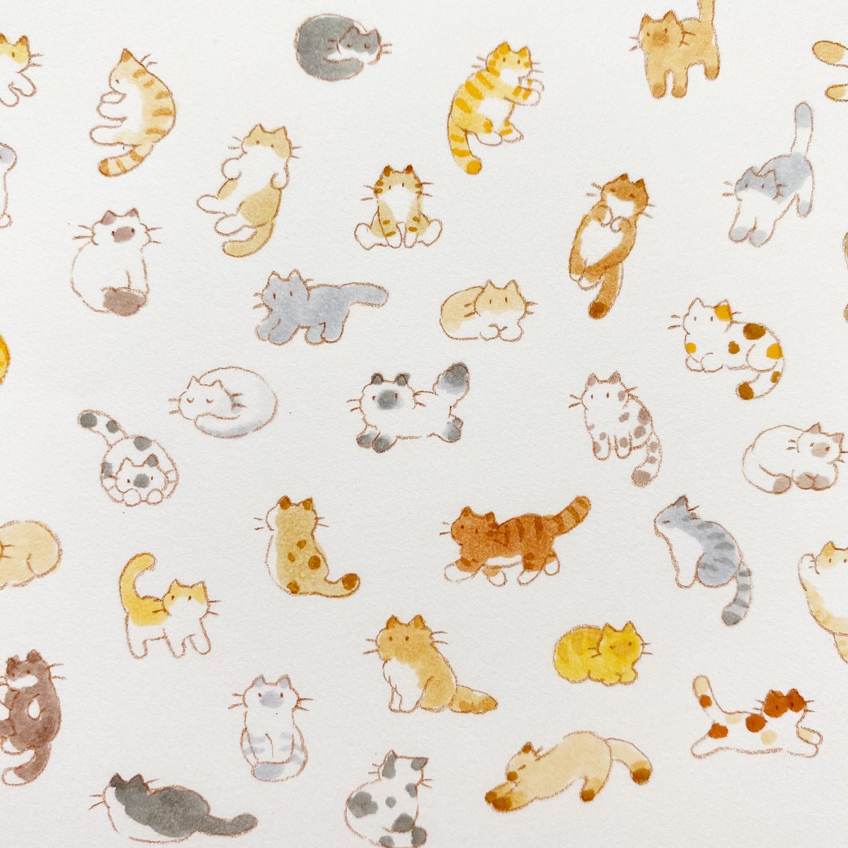 too many cat no humans calico animal marker animal focus  illustration images