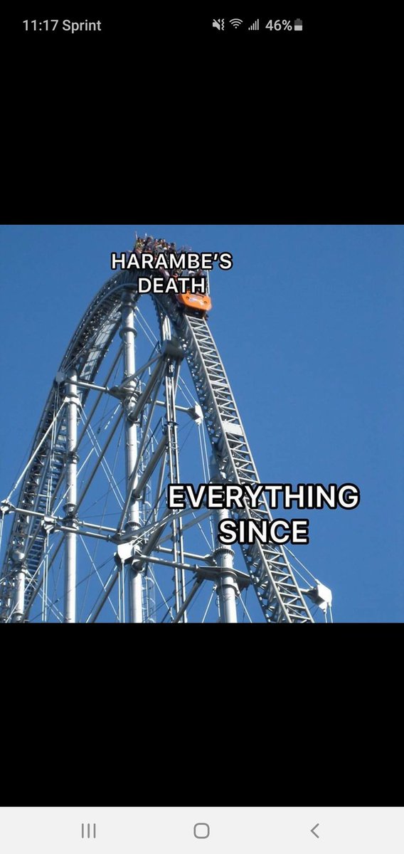 heraldo316's tweet photo. @classiclowlife I MISS HARAMBE TOO https://t.co/L1KEbJBal6