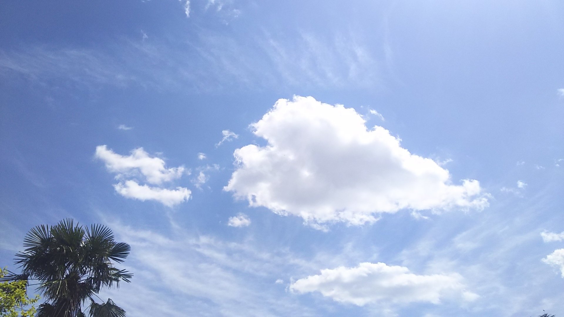 不眠症再発のわたねこ 久々のいい天気 ᵕ B けど 予報だとこのあと関東は雨になるとか 久々に青空見れると 家で自粛してても気分が落ち着くね ﾆﾔﾆﾔ 昔見た ドラえもんの映画の歌で 青い空 白い雲 勇気をもって踏み出そ と