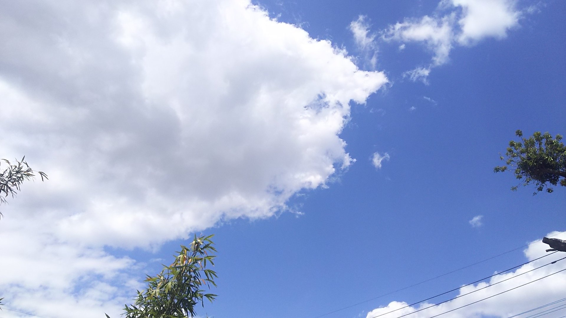 不眠症再発のわたねこ 久々のいい天気 ᵕ B けど 予報だとこのあと関東は雨になるとか 久々に青空見れると 家で自粛してても気分が落ち着くね ﾆﾔﾆﾔ 昔見た ドラえもんの映画の歌で 青い空 白い雲 勇気をもって踏み出そ と