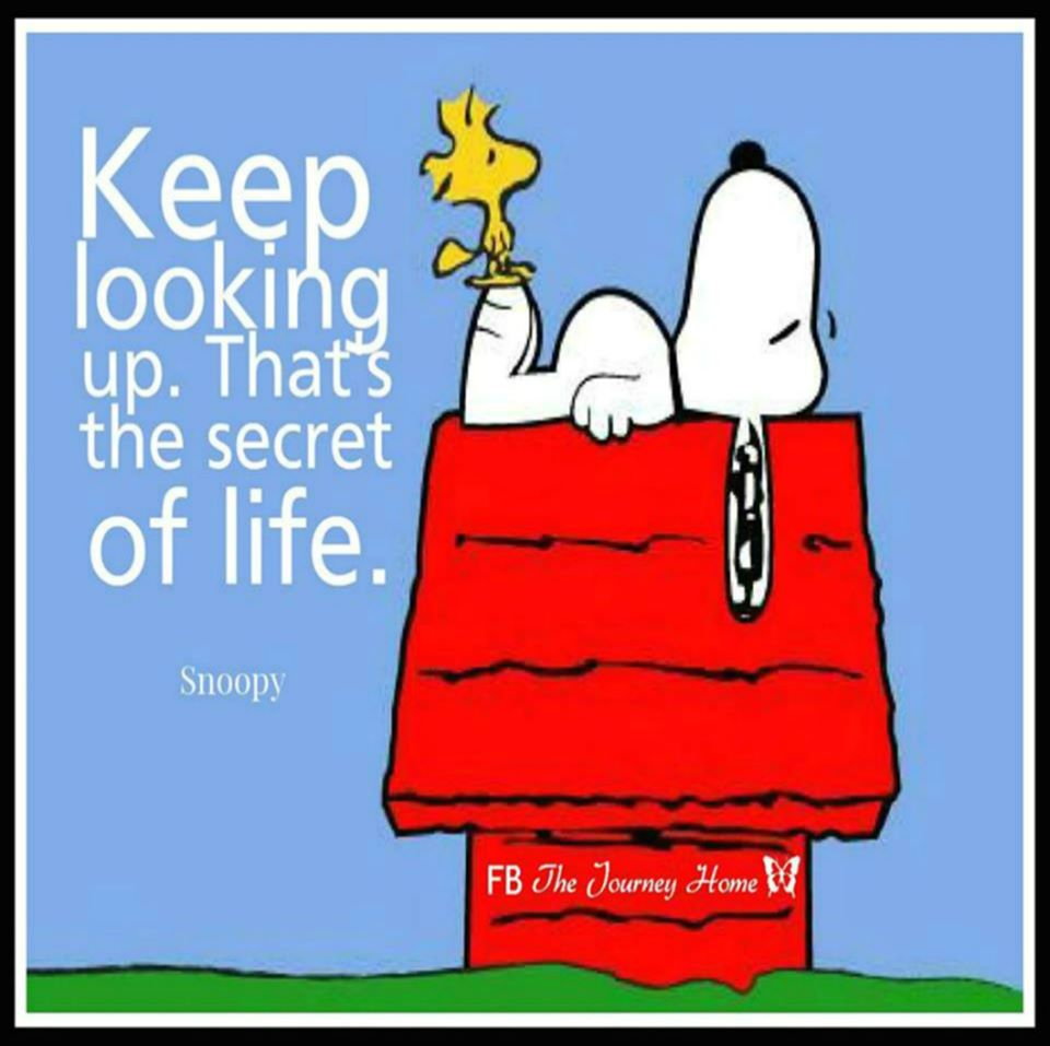 Inspiration By John Keep Looking Up That S The Secret Of Life Snoopy Is So Smart Inspiration