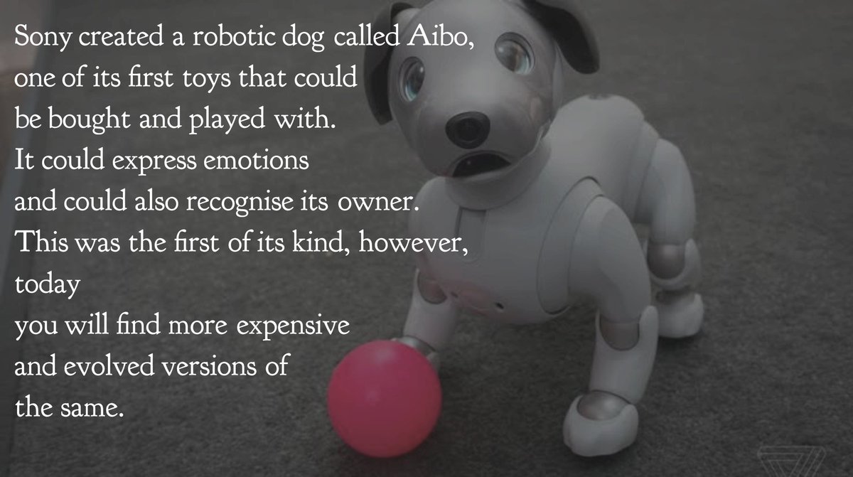 toto robot dog