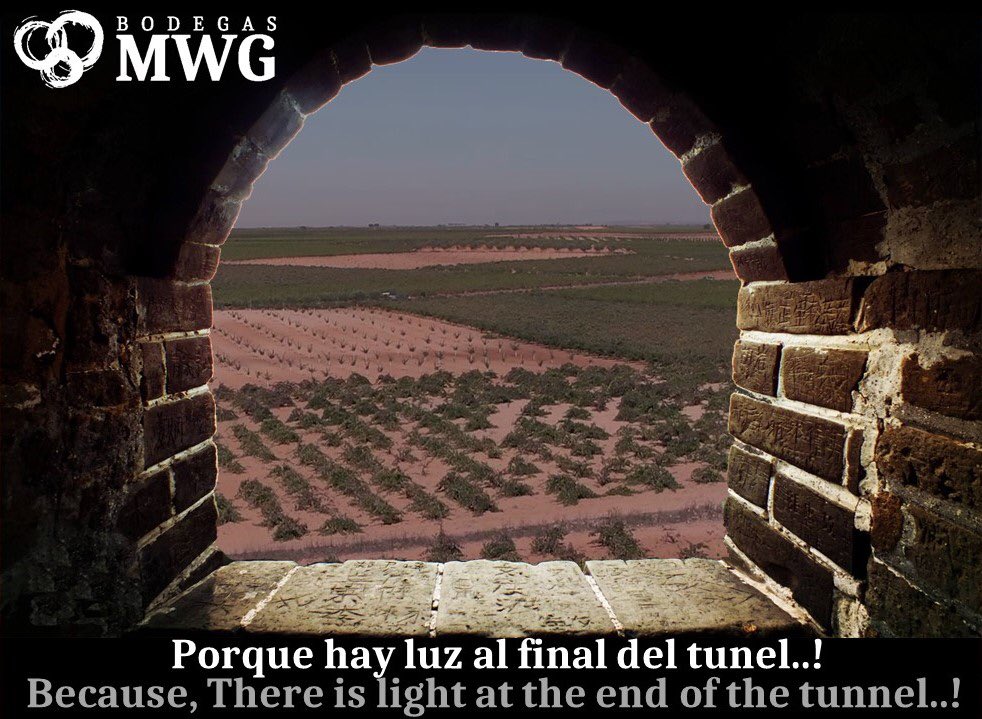 Bodegas MWG tweet media