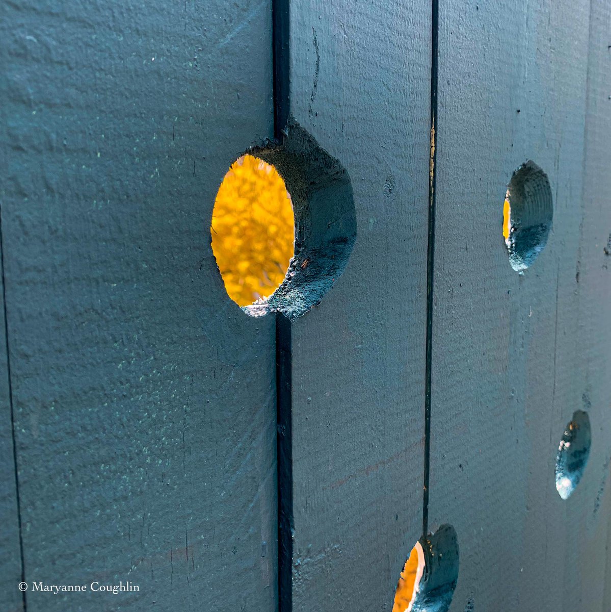 Fence with a view. Love the colors 💙🌼 What’s your fav color combination?

#momentsofbeauty #beautiful #colorful #massachusetts #newengland 
#streetphotography #colorcaptures 
#newenglandpictures #roadtripnewengland #wallstalking #streetphoto #thephotohour @LensAreLive @PicPoet