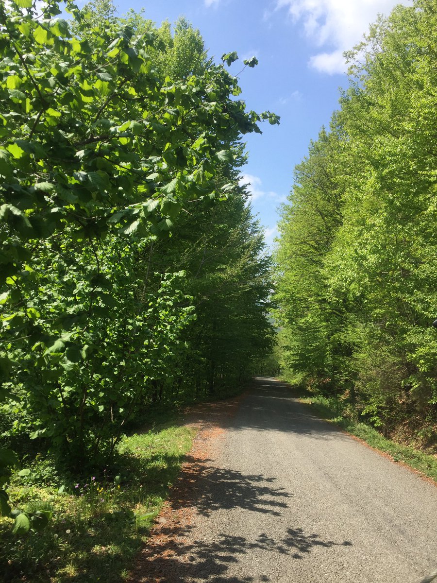 Aynı yol farklı mevsimler