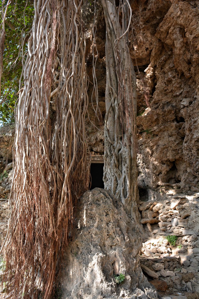 Shah Allah Ditta's Sadhu da Bagh caves are an ancient Buddhist monastic siteShah Allah Ditta is a centuries-old village at the foothills of the Margalla Hills in the Islamabad. 2,400-year-old Buddhist era murals of Buddha appear on the walls of caves at Shah Allah Ditta.