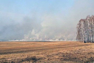 Посмотреть изображение в Твиттере