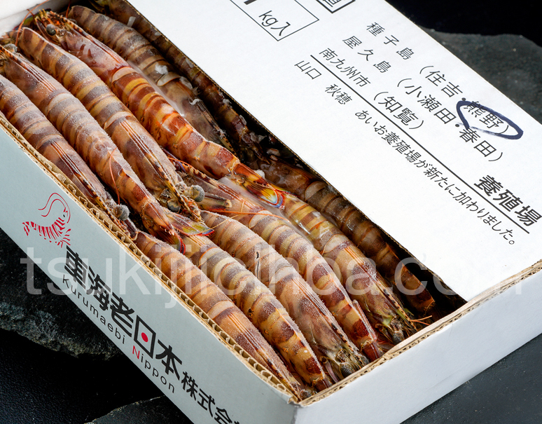 tsukijiichiba's tweet photo. 【今週末50箱 緊急出荷します！】

高級食材🦐「車海老(養殖)」
一流店が選ぶ豊洲の高品質な車海老を 1kg→6,980円＋送料

一般的な価格の【半値に近い】状態。

なかなか体験できない贅沢が手の届く価格になっています。

海老好きの方には「本物」を味わっていただきたい！
https://t.co/9ZBtpGGrjA https://t.co/4fYEbo32np