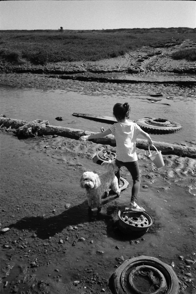 Alex Purcell tweet media