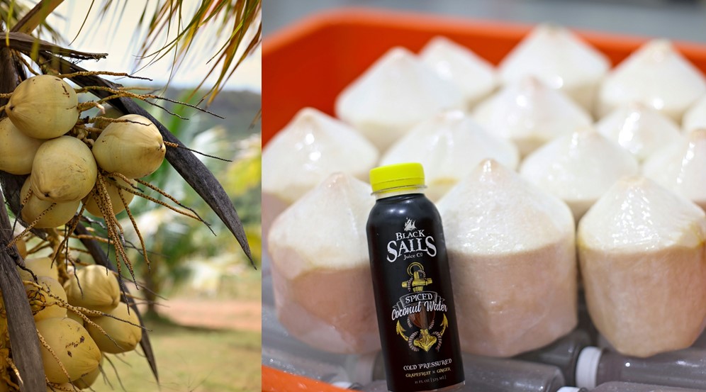 Moringa Fund tweet media