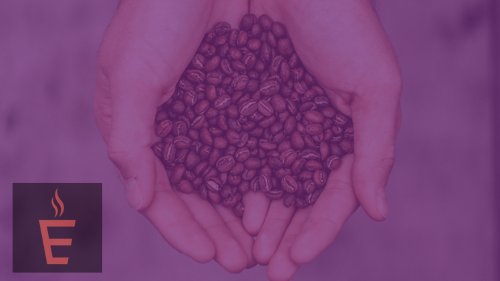 Equatorial Coffee tweet media