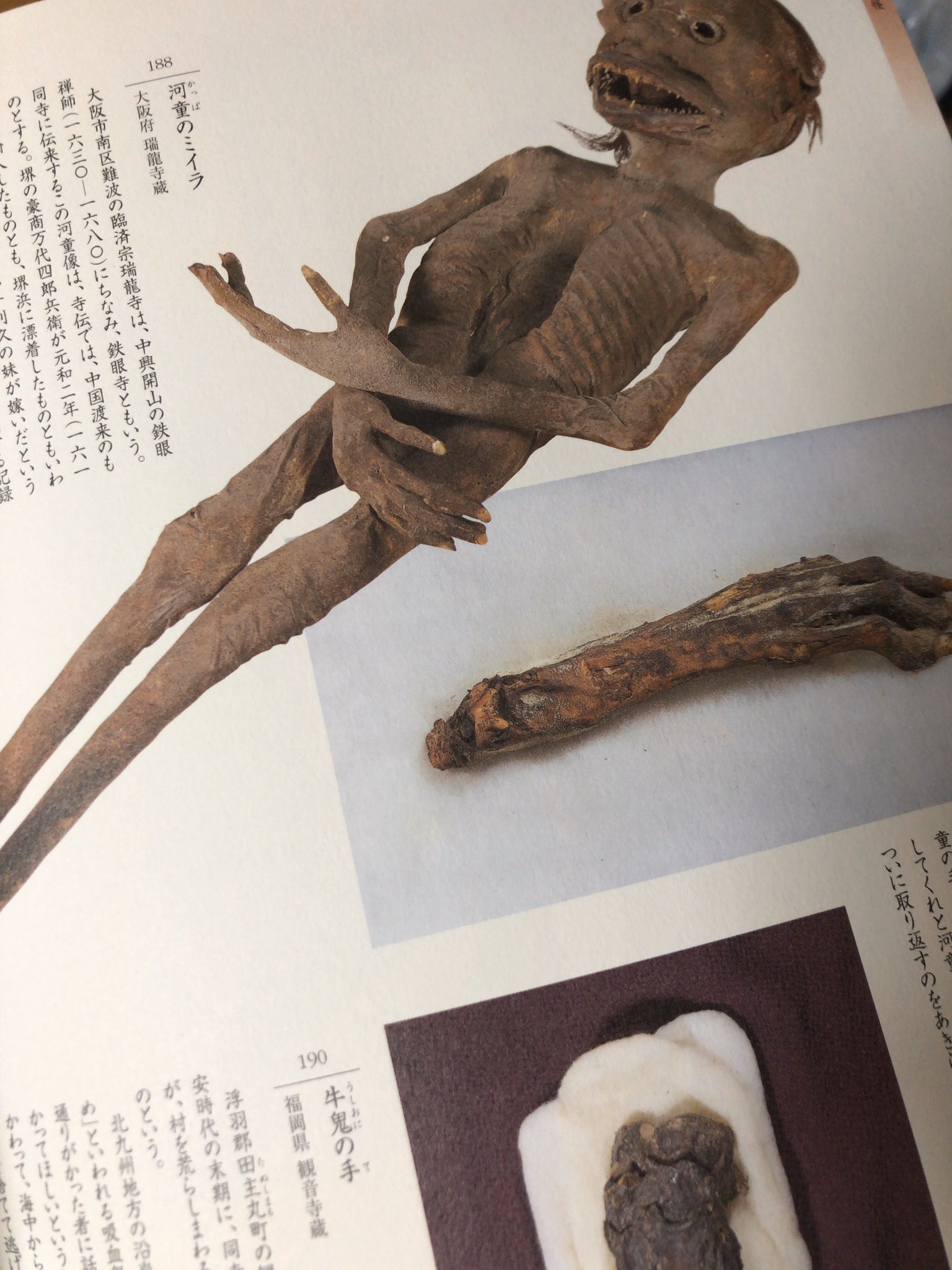 河童　ミイラ　見世物小屋 河童 ミイラ 見世物小屋 君は信じるか!?】台湾南部の見世物小屋