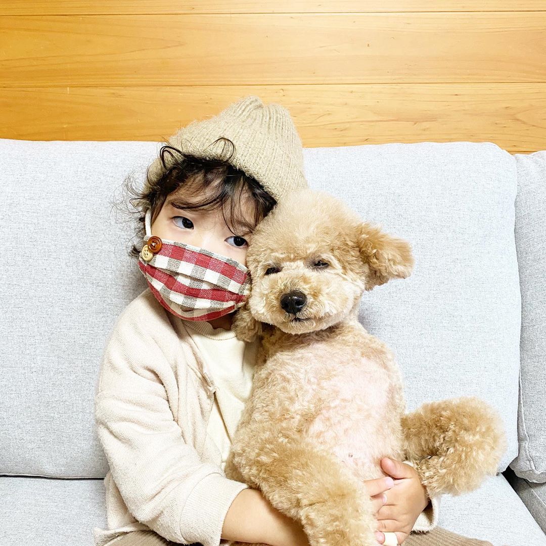 Regina8350's tweet photo. i love dog！！  @halu_yuki__diary  #happy  #poodle  #dog  #toypoodle  #pet  #baby  #girl #love #Fashion #simple #coordinate #yzc https://t.co/7VTzJeTrGs