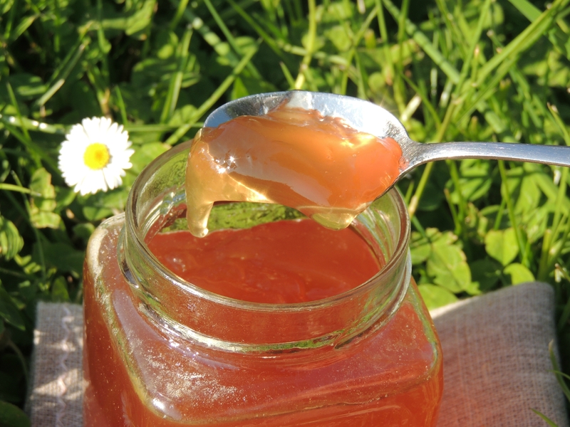 HelloFlowerFest's tweet photo. Retrouvez toutes les "Recettes Paquerettes" :  #infusion #vin #soinnaturel  #cake #salade
👉 https://t.co/K8U4uDgBPA 🌼
C'est l'emblème du #festival #HelloFLOVVER, ! Alors on vous dit tout pour prendre soin de vous pendant le #confinement
#naturelovers #recette https://t.co/vadtSPikFk