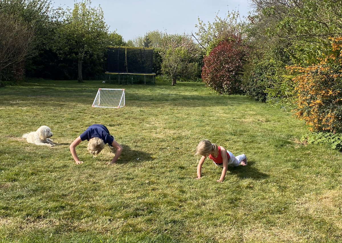EmmaMorganHere's tweet image. @y5hvcs Elliott mid-exercise challenge. Accompanied by his shadow (Matilda) and Arthurdog. #GoTeam #hvcs #hawarden #siblings #lockdown #Arthurdog