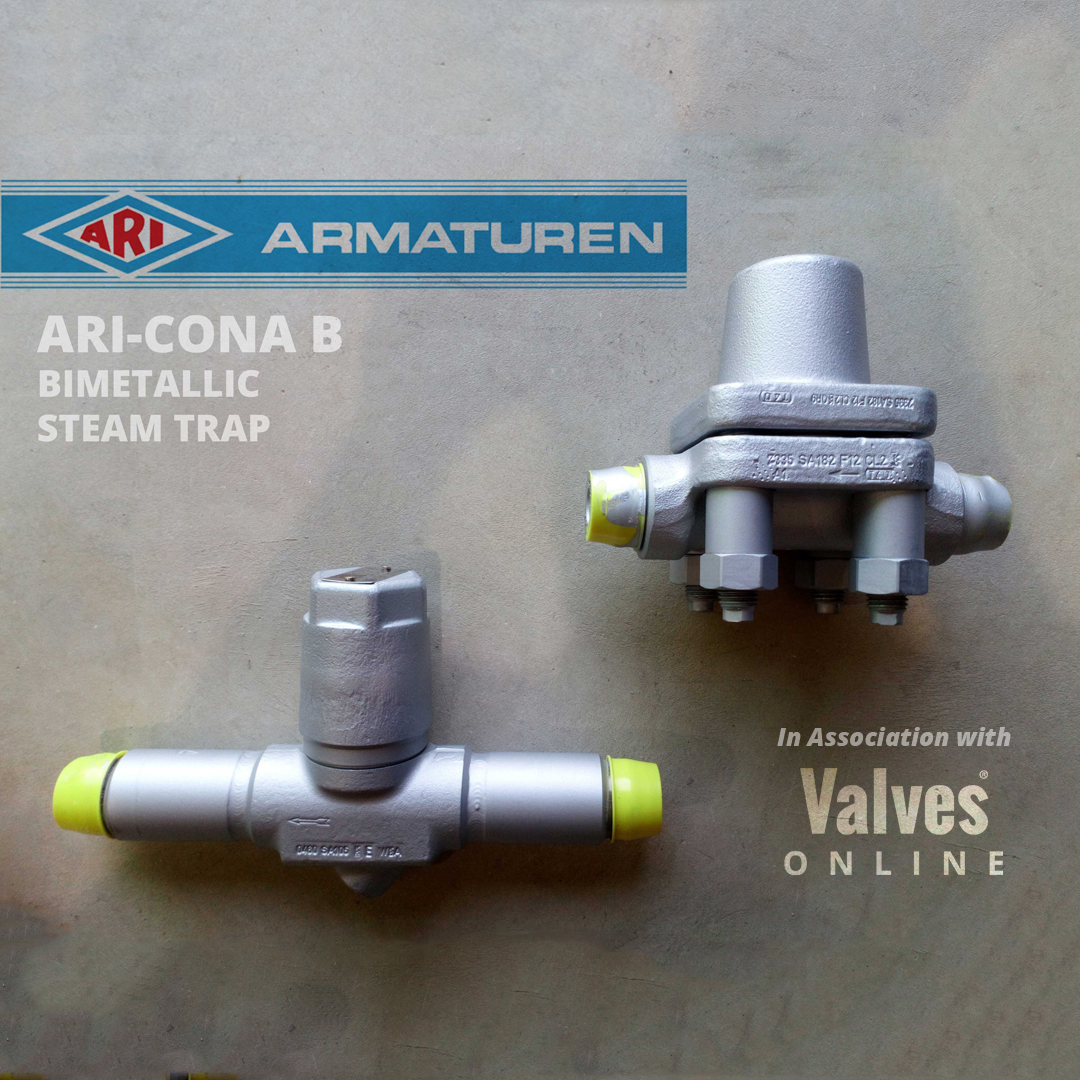 valvesonlineuk's tweet photo. 1” ANSI150, ANSI600 & ANSI1500 ARI Armaturen Cona-B Steam Traps Heading to a UK Power Station. Contact us with your requirements: https://t.co/snCnklzTf6 #valvesonline #steam #steamtrap #ari #ariarmaturen #powerstation #steamselect #engineering #engineeringuk #steamspecialists https://t.co/PKFQVu0Ewa