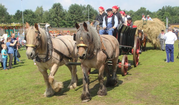 Boerendag Rijsbergen moet jaartje overslaan - internetbode.nl/regio/zundert/…