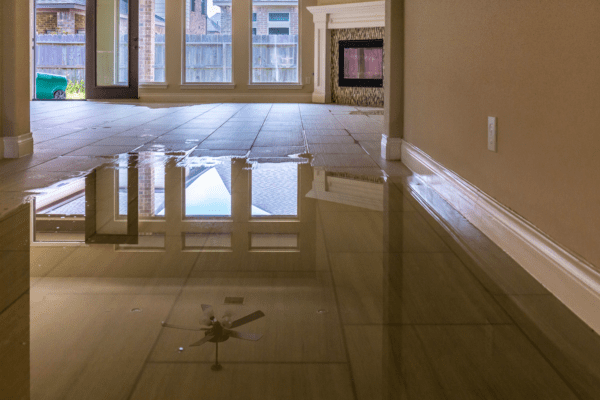 WileymSebast's tweet photo. Water damage can occur as a result of storm damage, sewage backups, plumbing issues, appliance leaks, and various other problems. Fine Restoration is your source for water damage restoration services 24 hours a day in Kansas City and surrounding areas. https://t.co/ns0hhskU5y