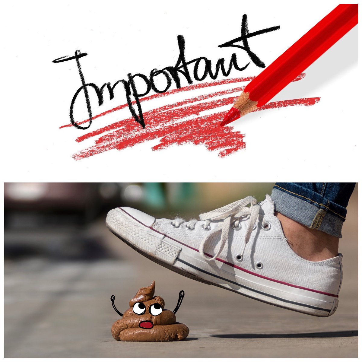 ‼️Wichtige Info für alle, die ein Ticket gekauft haben‼️

Bitte euer Spam Ordner checken!

Gestern sind die Zugangsdaten für heute rausgegangen. Solltet ihr die nicht bekommen haben, so meldet euch bei uns!

Wir freuen uns sehr auf euch heute Abend und wünschen viel Spaß! 💩🥳