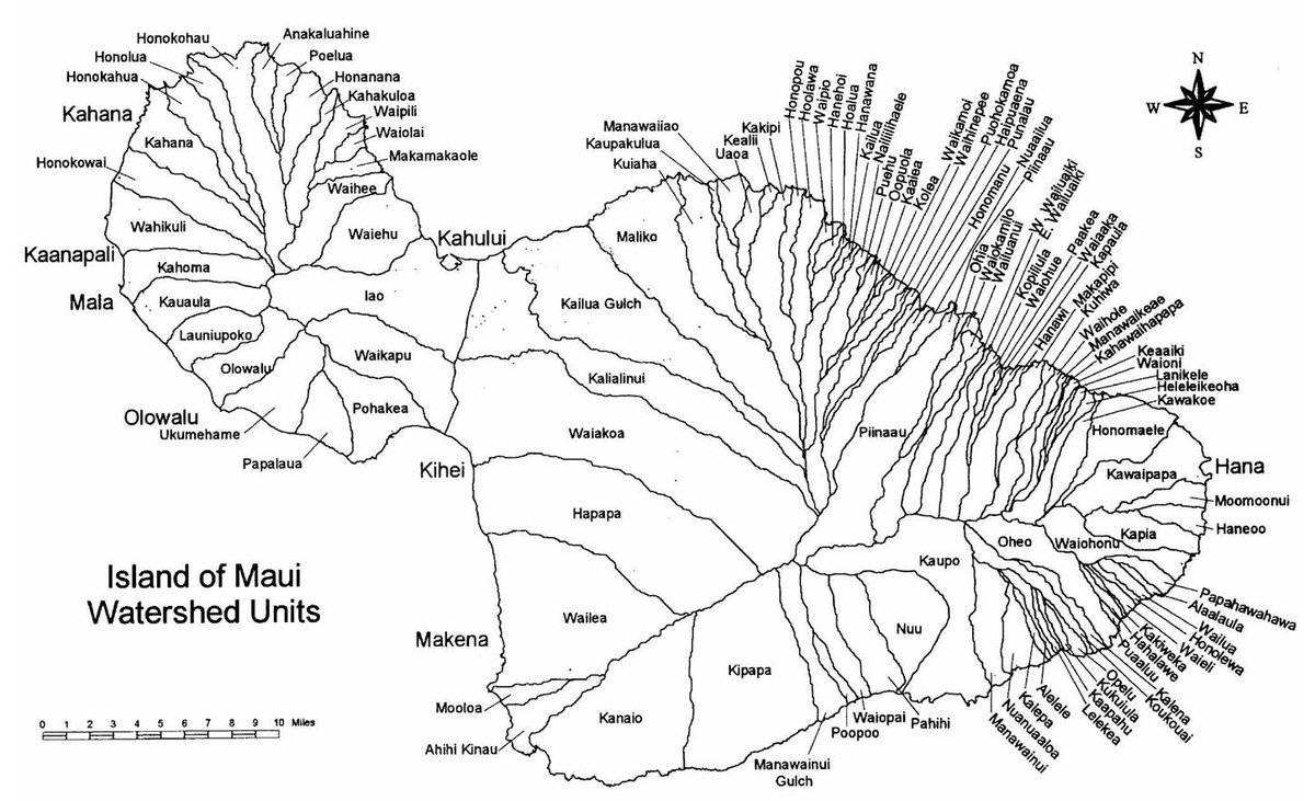 AnitaNREM's tweet photo. Today during #NREMseminar, @ellaenvironment talked about how she will be working on characterizing Maui's #estuaries in order to better manage these sensitive ecosystems on a local and state level! #MaukatoMakai

https://t.co/vYJHg6umXF https://t.co/bI3HN5pDya
